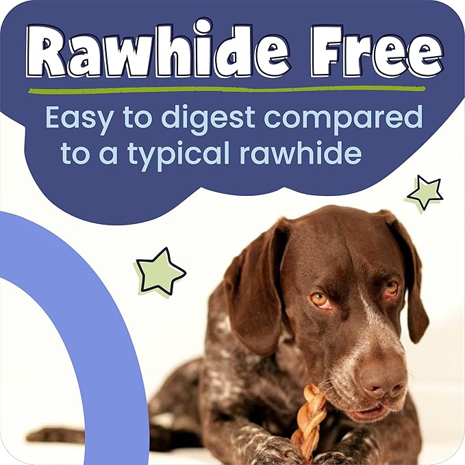 Pawstruck All-Natural 4" Bully Stick Rings for Dogs - Rawhide-Free, 100% Beef, Single Ingredient Dental Chew Bones - Fully Digestible, Low Odor - 3 Pack - Packaging May Vary