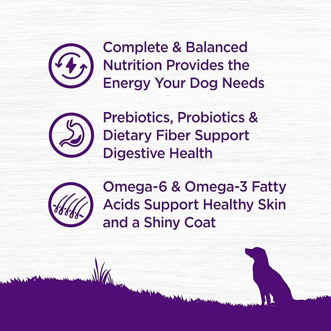 Wellness Complete Health Adult Dry Dog Food, Grain Free Kibble, Natural, Chicken Recipe, 24 lb Bag