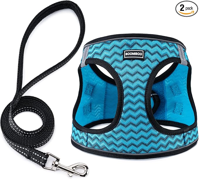Dog Harness with Leash Set, No Pull Adjustable Reflective Step-in Puppy Pet Vest Harnesses for Small Medium Large Dogs and Cats,Blue Stripe XL