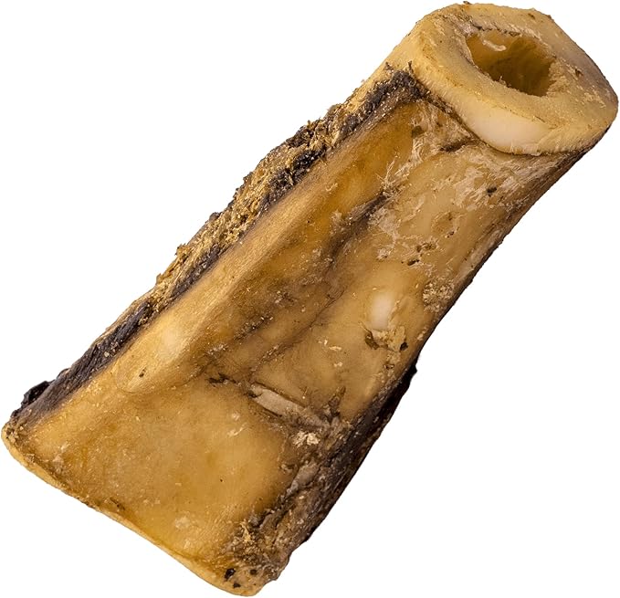 NATURE'S LOGIC Beef Hind Shank Bone - 7-8'' Long Chew - Collagen & Protein Source for Dog Dental Health & Occupation - Carnivore Appropriate Recreational Chewing & Dental Care - Large Hind Shank