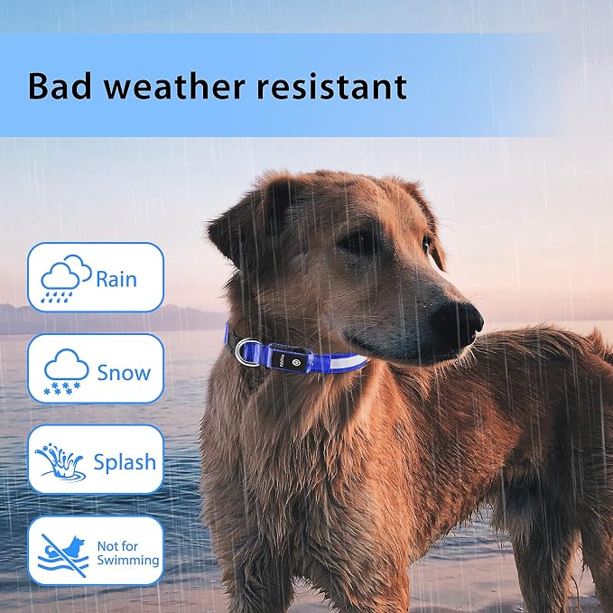 PcEoTllar Light up Dog Collar for Night Walking - LED Dog Collar Light Rechargeable Color Changing, Glow in the Dark Dog Collars Waterproof Glowing Dog Collars for Large Small Medium Dogs