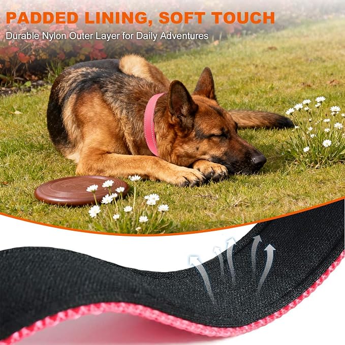Taglory Reflective Dog Collar for Large Dogs, Soft Neoprene Padded with Escape-Proof Locking Buckle, Upgraded Zinc Alloy Ring, Adjustable for Pitbull Labrador Retriever, Pink,L