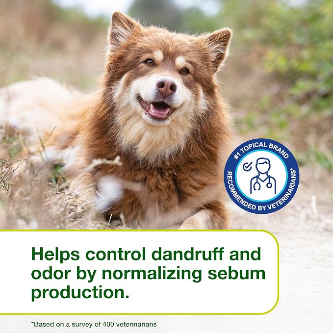 Douxo S3 SEB Dog Seboregulating Shampoo, Seborrhea Treatment for Dogs & Cats, Helps Control Dandruff, Unpleasant Odors & Oily/Flaky Skin, 0.5% Ophytrium, 6.7 fl oz