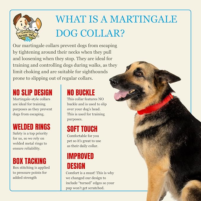 Country Brook Petz - Martingale Dog Collar - Heavy-Duty Training Collar with No Buckle - Service Dog Collar for All Pups - 20 Vibrant Colors (Hot Orange, 3/8 Inch, 2XS)
