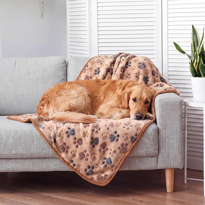 Tegeme 12 Pcs Pet Blankets 41 x 30 Inch Soft Fluffy Fleece Dog Cat Warm Paw Print Pattern Blankets Flannel Throw for Pets Dog Puppy Cat(Camel,Gray)
