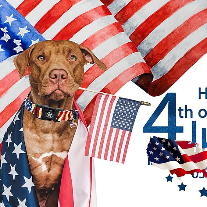 Elegant little tail Independence Dog Collar, 4th of July Holiday Pet Collars Cotton Patriotic Puppy Girl or Boy Soft Pet Gift Adjustable Dog Collar for Small Medium Large Dogs