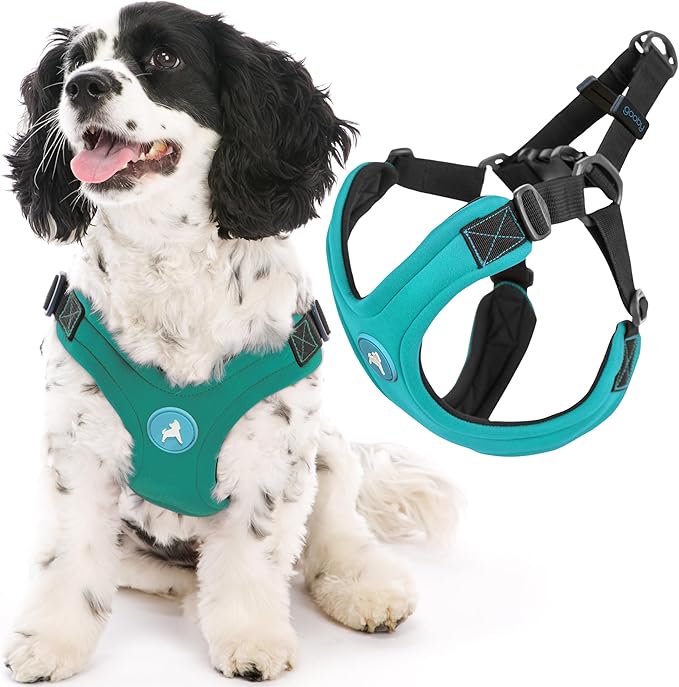 Gooby Escape Free Sport Harness - Turquoise, Small - No Choke Step-in Patented Neoprene Dog Harness with Four-Point Adjustment for Small to Medium Dogs
