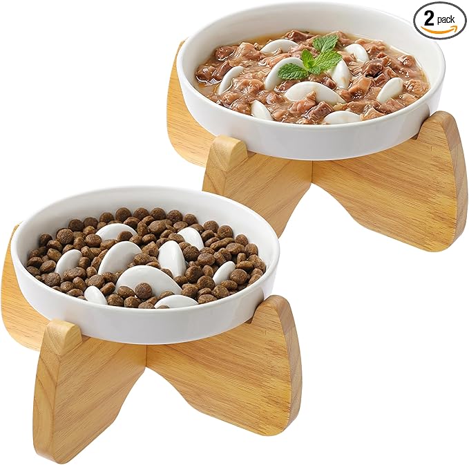 Raised Slow Feeder Cat Bowl with Stand, 6.3'' Wide Ceramic Elevated Shallow Slow Eating Cat Bowl for Dry/Wet Food, Anti-Vomiting Pet Puzzle Feeder, Whisker Friendly, Dishwasher Safe (2 Pack)
