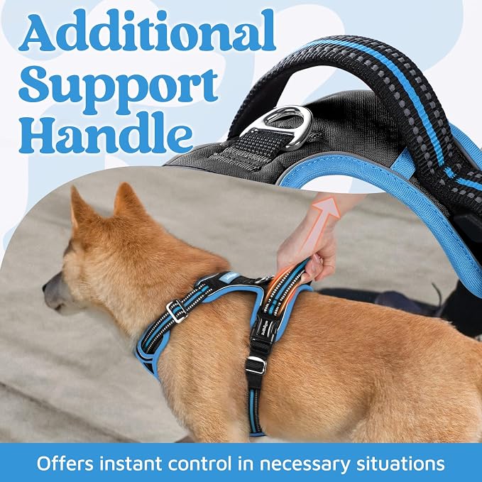 rabbitgoo Dog Harness Small Sized, 3 Buckles Easy On & Off No Pull Pet Vest, Soft Padded Walking Pet Harness with Control Handle, Adjustable and Reflective, Black & Sky Blue, S