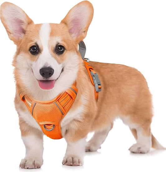 BARKBAY No Pull Dog Harness Large Reflective Dog Harness with Front Clip and Easy Control Handle for Walking Training Running with ID tag Pocket(Orange,M)