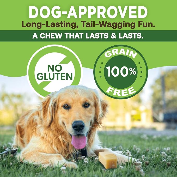 EcoKind Yak Cheese Himalayan Dog Chews, Yak Chews for Large Dogs, Long Lasting Bone for Aggressive Chewers, Only 3 Ingredients, Natural High Protein Dog Treats, No Additives, Large - 12+ Chews (3 lbs)