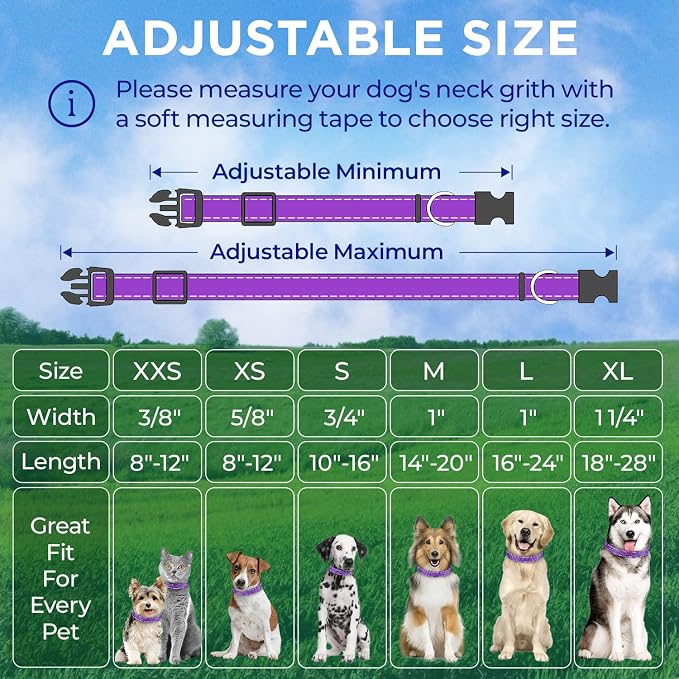 TECEUM Reflective Dog Collar – Purple – M – Extra Soft Padding – Basic Nylon Pet Collar – Quick Release Buckle – Fits Small, Medium and Large Dogs, Puppies, Cats – ESA & Service Dog Options