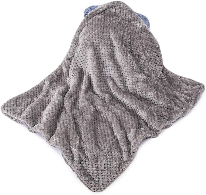 DG-Flint Gray Plush Fleece Receiving Blanket for Dog, Cat, Couch, Sofa, Travel and Outdoor, Camping (32" x 40")
