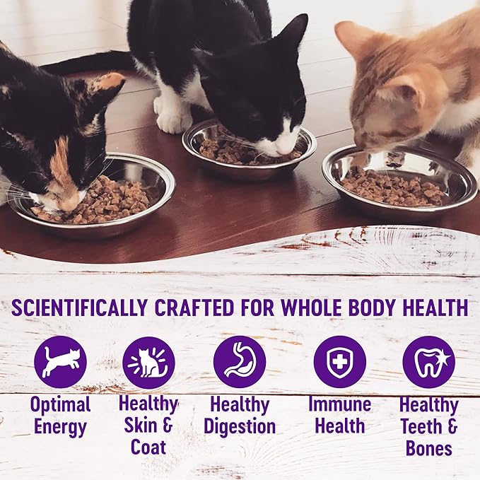 Wellness Healthy Indulgence Morsels Variety Pack Adult Wet Cat Food, Natural, Protein Rich, Grain Free, 2 Flavors, 3 oz, Pack of 8 Pouches