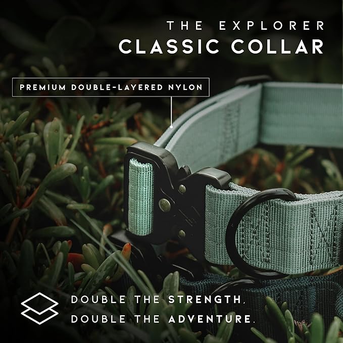 Made to ROAM Premium Explorer Control Collar - Adjustable Heavy Duty Nylon Dog Collar with Quick-Release Metal Buckle and Handle (Texas Flair, Control Size 5)