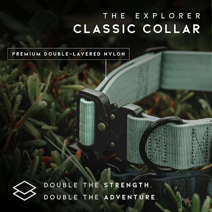 Made to ROAM Premium Dog Collar - Adjustable Heavy Duty Nylon Collar with Quick-Release Metal Buckle (Montana Moonrise, Classic Size 2)