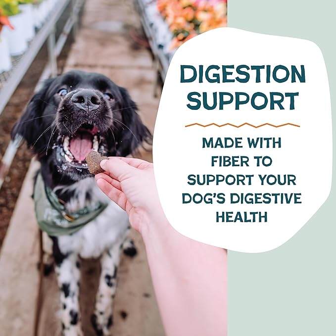 Shameless Pets Soft-Baked Dog Treats, Pumpkin Nut Partay - Natural & Healthy Dog Chews for Digestive Support with Fiber - Made in USA, Free from Grain, Corn & Soy - 2-Pack