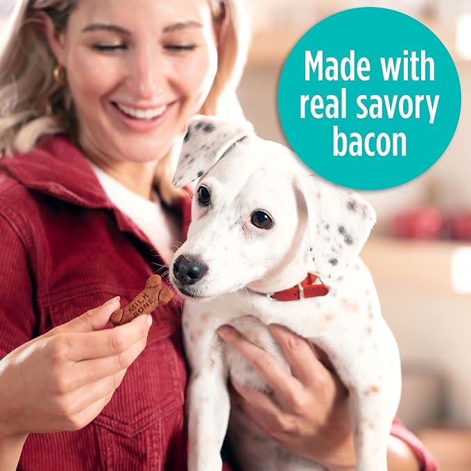 Milk-Bone Soft & Chewy Dog Treats, Made with Real Bacon, 25 Ounce Canister (Pack of 2)