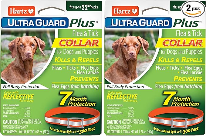 Hartz UltraGuard Plus Flea & Tick Collar for Dogs and Puppies, 7 Month Flea and Tick Prevention and Protection Per Collar, Reflective Orange, up to 22 Inch Neck (Pack of 2)