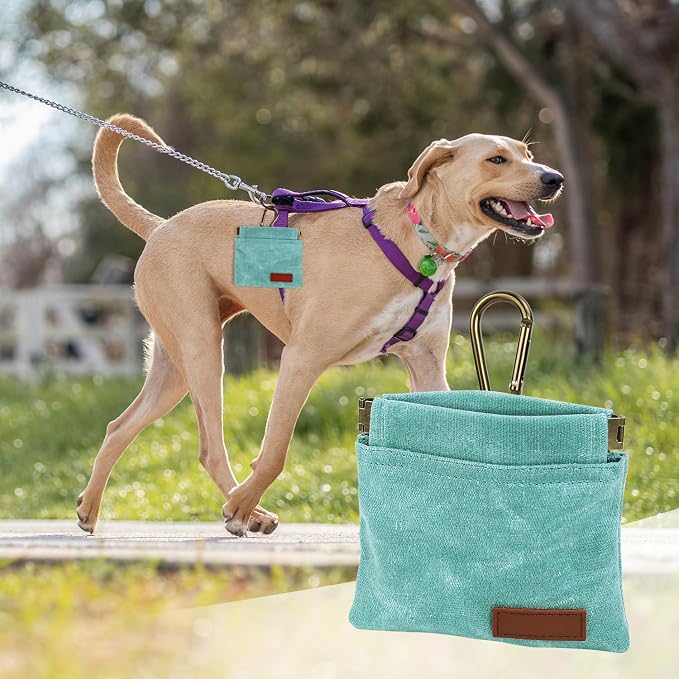 1 Pcs Pocket Pet Training Pouch,Dog Treat Pouch for Portable Pet Dog Walking Bag for Travel or Outdoor Use (Cyan)