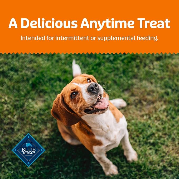 Blue Buffalo Health Bars Pumpkin & Cinnamon Crunchy Dog Biscuits, Oven-Baked with Pumpkin & Natural Ingredients, Healthy Dog Treats with No Artificial Flavors or Preservatives, 16 oz.