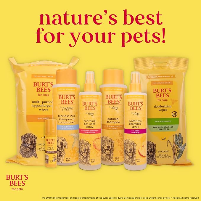 Burt's Bees for Pets Itch Soothing Shampoo with Honeysuckle, 95% Natural Origin, Dog Shampoo for Itchy Skin Relief, pH Balanced, Free of Sulfates and Parabens, 16 Fl Oz