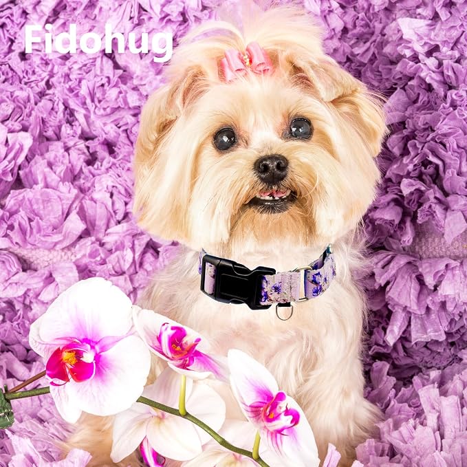 Martingale Collar for Dogs Floral Dog Collars for Small Medium Large Dogs with Buckle Adjustable Soft Nylon Dog Collar (Purple Lily, Small)