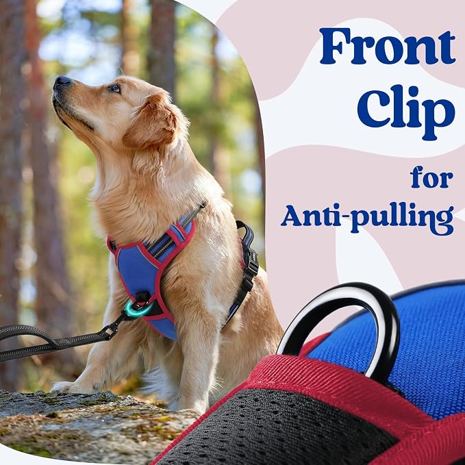 rabbitgoo Dog Harness Small Sized, No Pull Easy On & Off with 3 Buckles Pet Harness, Adjustable Soft Walking Vest with 2 Clips and Handle, Reflective for Small Dogs, Royal Blue & Red, S