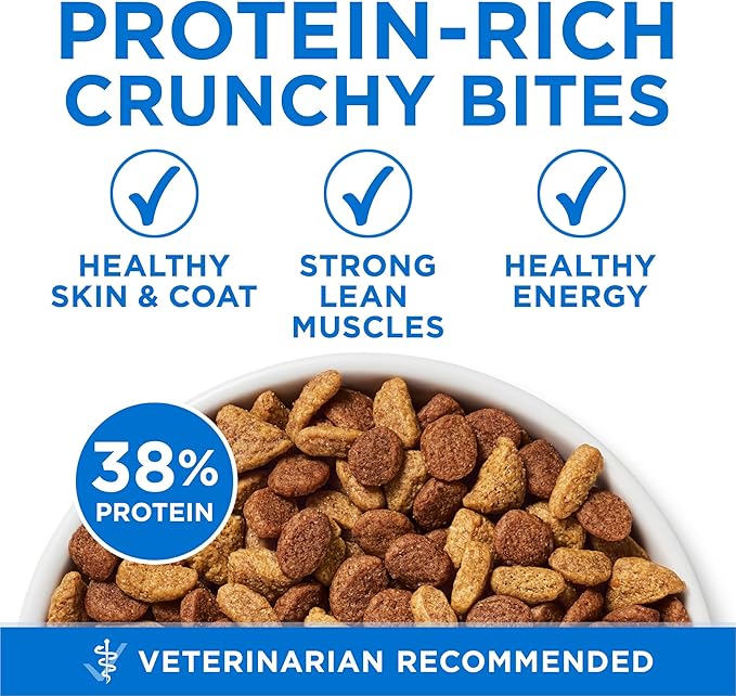 Purina ONE Plus High Protein Cat Food Dry Salmon and Ocean Whitefish Cat Skin and Coat Health Formula - 16 lb. Bag