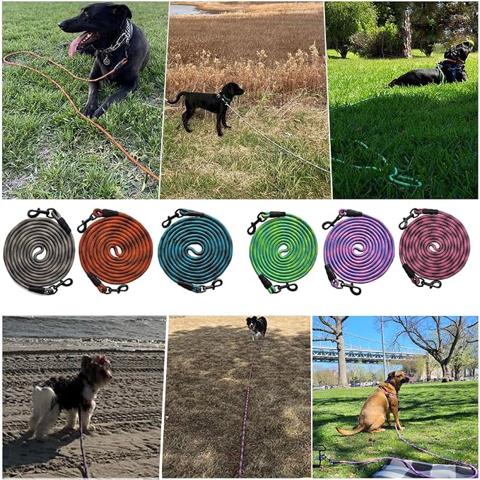 BTINESFUL 75ft Dog Tie Out Long Tether Rope Leash, 8ft 12ft 20ft 30ft 50ft Training Dog Lead for Yard, Large Medium Dogs Outdoor Playing, Camping, or Backyard (75ft, Blue Black)