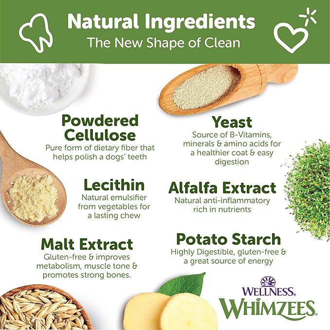 Wellness Whimzees Brushzees Natural Dog Dental Treat, VOHC Accepted Chews, Freshens Breath, Extra-Small Size, 12.7 oz Bag, 48 Count (Pack of 2)