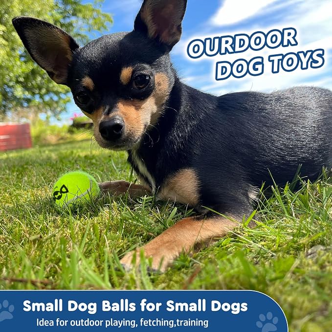 INSUM Tennis Balls for Dogs - 12 Pack 2.0'' Durable Non-Toxic Outdoor Dog Toys Balls with Mesh Bag, SGS Certified, Colorful Fetch Toys, Small Breeds (Non Squeaky)