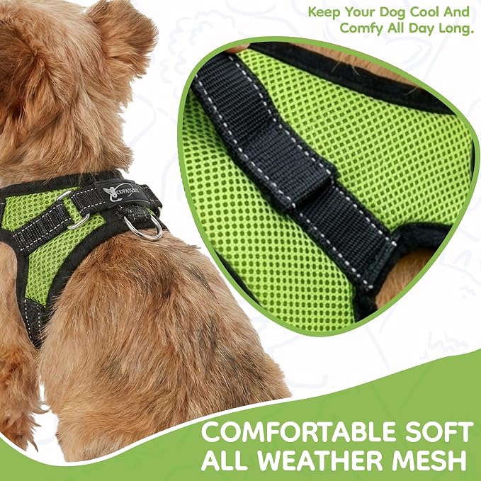 No Pull Reflective Adjustable Dog Harness with Handle- Comfortable Soft All Weather Mesh, Easy On Puppy Harness for Small Medium and Large Dogs (Green) XX-Small
