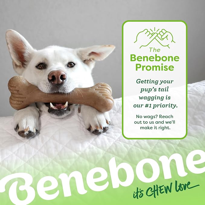 Benebone Bone Durable Dog Chew Toy for Aggressive Chewers, Real Bacon, Made in USA, Large