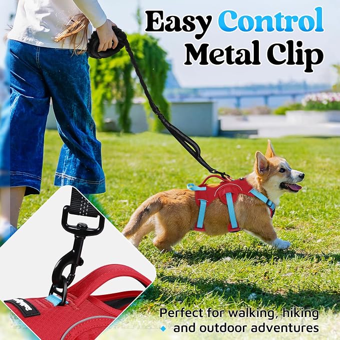 rabbitgoo Escape Proof Dog Harness Large Dogs, Soft Padded Full Body Pet Harness, Reflective Adjustable No Pull Vest with Lift Handle and Leash Clip for Walking Hiking Training, Blue & Red, S