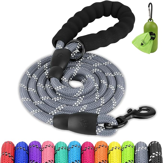 Joytale Dog Leash for Large Dogs, Heavy Duty Nylon Leashes with Comfortable Padded Handle and Highly Reflective Threads, Ideal for Walking and Training, Gray, 5'×1/2''