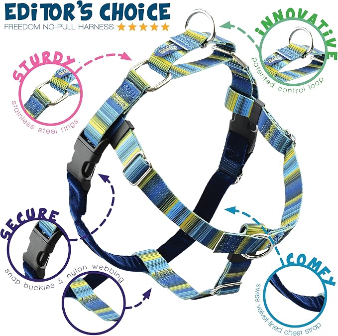 2 Hounds Design - Freedom No-Pull Harness & Training Leash in Blue and Green | Dual Leash Loops, No Pulling on Walks | Lined to Prevent Chaffing | for Large Sized Dogs (Size M, Chest 24”- 28”)