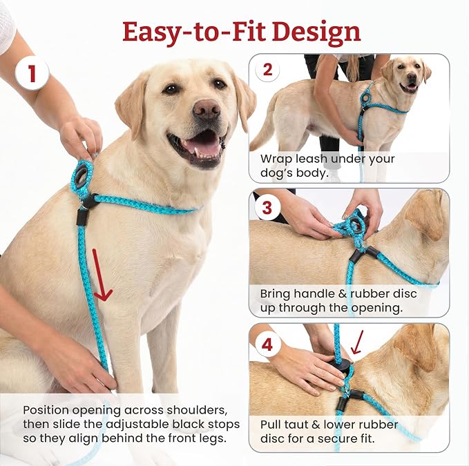 Harness Lead No Pull Dog Harness and Leash Set, Anti Pull Dog Harness for All Breeds and Sizes, One-Piece Cushioned Rope Design Safely Prevents Escaping and Pulling (Small/Medium, Blue/Multi)