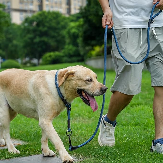 Rope Dog Leash with Two Handles, 6 Foot Heavy Duty Dog Leash with Aviation Aluminum Auto Locking Carabiner, Strong Nylon Pet Lead for Small, Medium, Large Dogs (Yellow, 6FT-Two Handle)