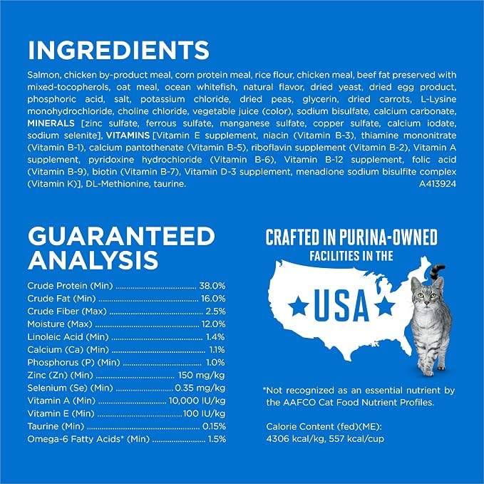 Purina ONE Plus High Protein Cat Food Dry Salmon and Ocean Whitefish Cat Skin and Coat Health Formula - 16 lb. Bag