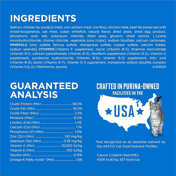 Purina ONE Plus High Protein Cat Food Dry Salmon and Ocean Whitefish Cat Skin and Coat Health Formula - 3.5 lb. Bag