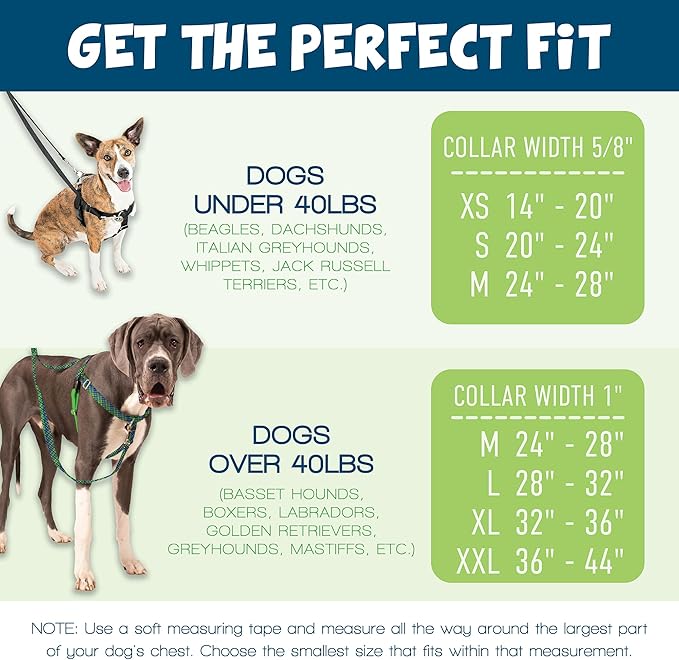 2 Hounds Design Freedom No Pull Dog Harness, Adjustable Harness, Easy Walking & Comfortable Control, Fits Small, Medium & Large Dogs, Solid Colors, Made in USA, 1" XXL, Raspberry