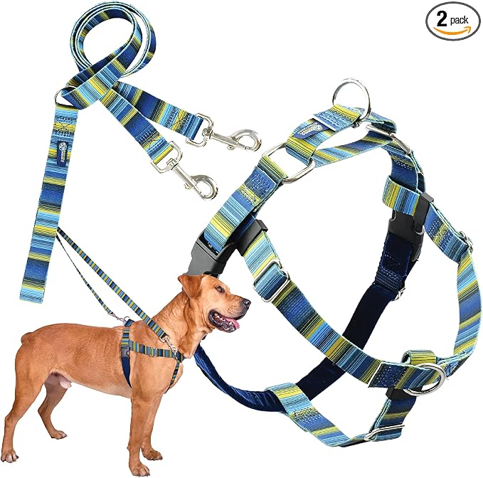 2 Hounds Design - Freedom No-Pull Harness & Training Leash in Blue and Green | Dual Leash Loops, No Pulling on Walks | Lined to Prevent Chaffing | for Large Sized Dogs (Size M, Chest 24”- 28”)