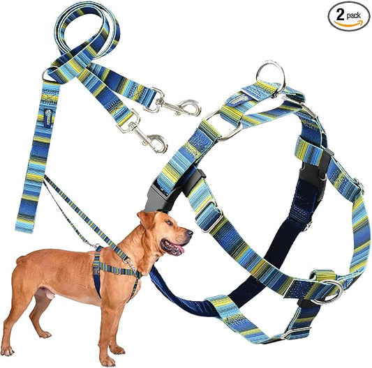 2 Hounds Design - Freedom No-Pull Harness & Training Leash in Blue and Green | Dual Leash Loops, No Pulling on Walks | Lined to Prevent Chaffing | for Large Sized Dogs (Size M, Chest 24”- 28”)