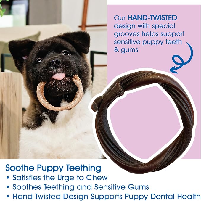 N-Bone Puppy Teething Rings Taste of Texas Burnt Ends Flavor 3 Count