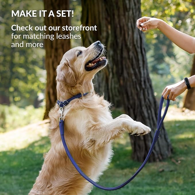 CollarDirect Reflective Rolled Leather Dog Collar, Soft Padded Round Puppy Collar, Handmade Genuine Leather Collar Dog Small Large Cat Collars 13 Colors (11-14 Inch, Deep Blue Reflective)