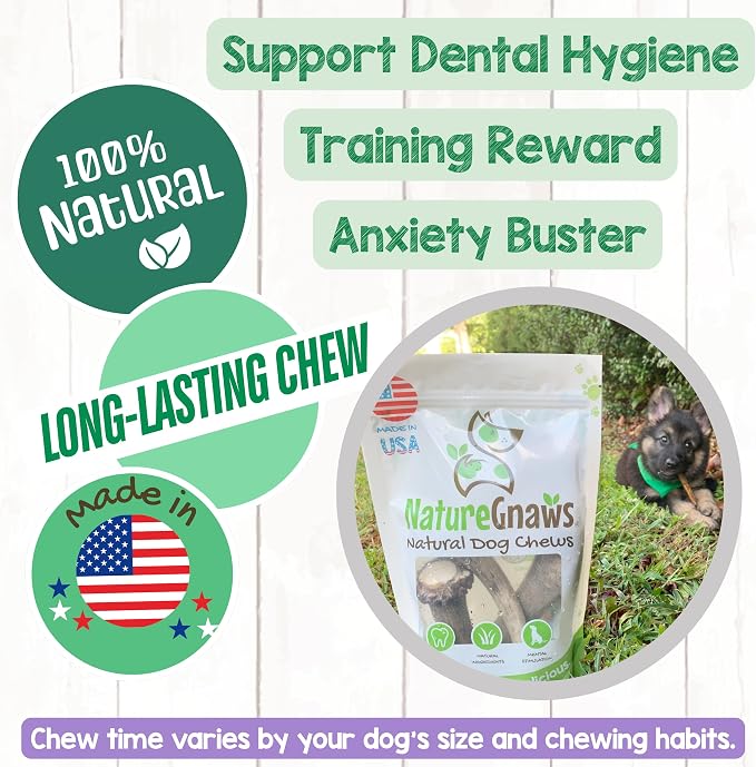 Nature Gnaws USA Elk Antlers for Dogs 5-8" (3 Count) - Mix of Split and Whole Pieces - Long Lasting for Aggressive Chewers - Natural Dog Chew Bones