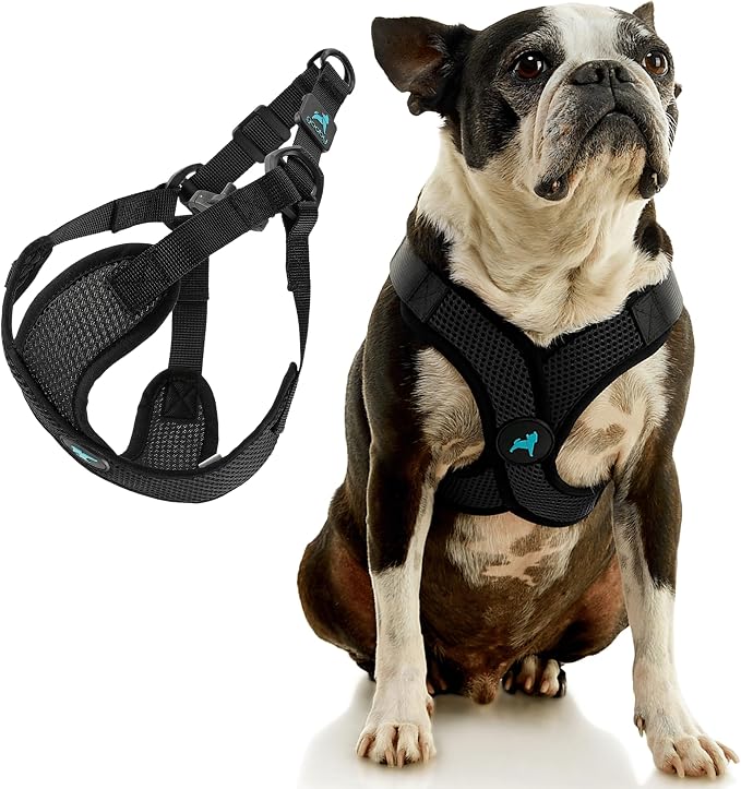 Gooby Comfort X Step in Lite Dog Harness - Choke Free, Escape Free with Light Breathable Mesh - Step in Dog Harness for Small Dogs Only - Quick Release Buckle, Metal D-Rings - Black, X-Small