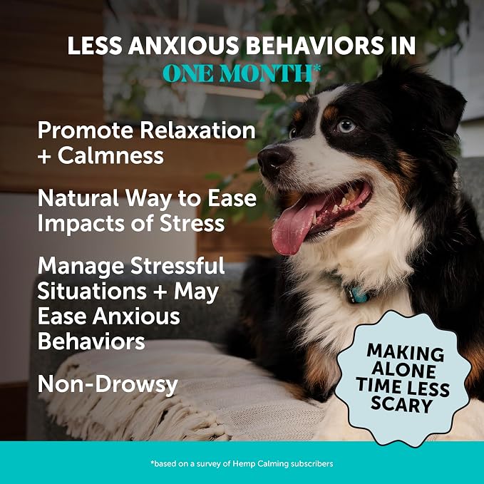 Natural Hemp Dog Calming Chews for Occasional Anxiousness & Stress - Calming Treats for Thunderstorms, Fireworks, Separation & Travel - with Ashwagandha, L-Theanine, Valerian Root (Beef Liver, 90 Ct)