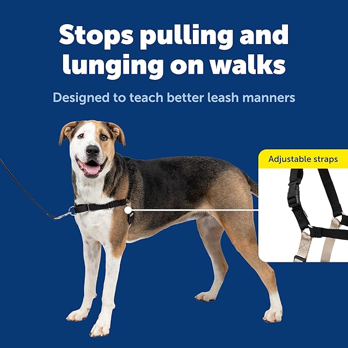PetSafe Easy Walk No-Pull Dog Harness - Ultimate Harness to Help Stop Pulling - Pull-Free Walks - Take Control & Teach Better Leash Manners - Patented Martingale Loop Design - Black, X-Large